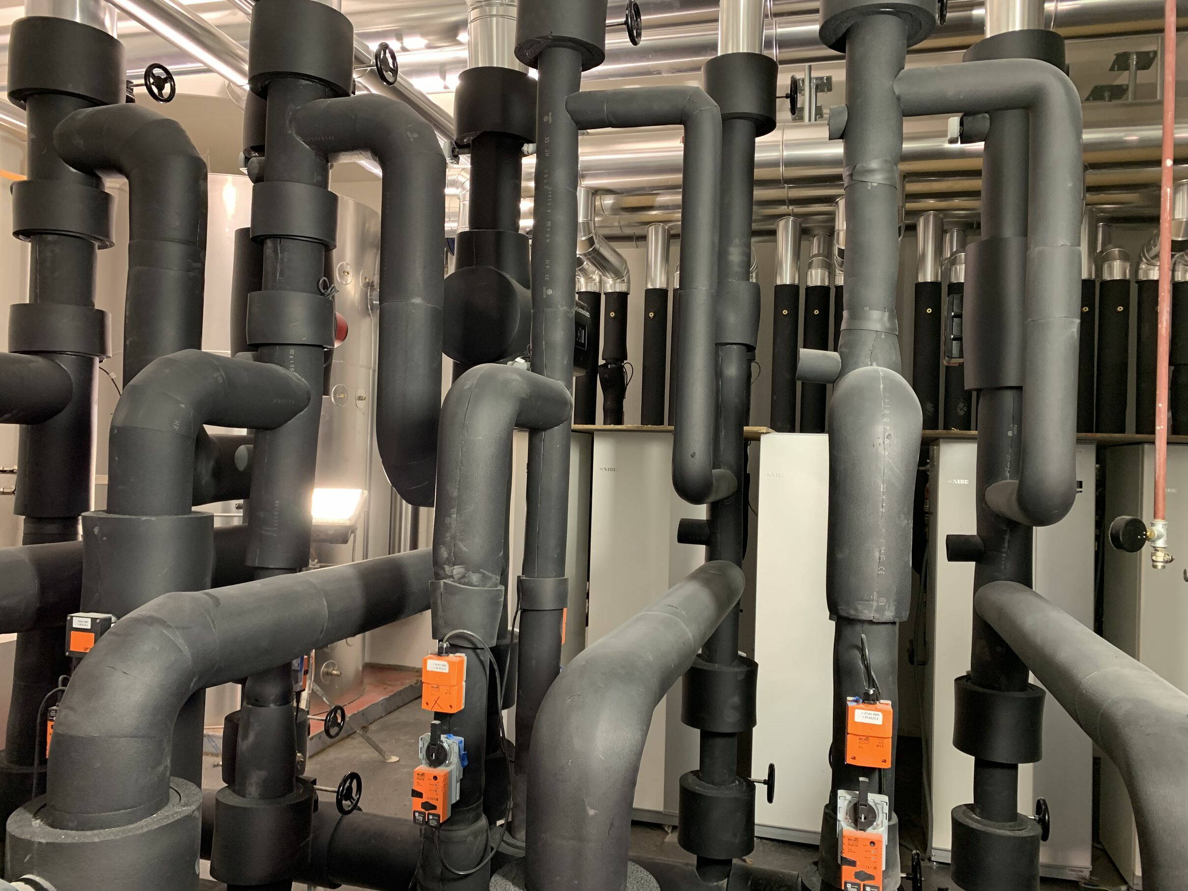 2019-07-20_2.jpg