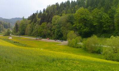 0407-11.jpg