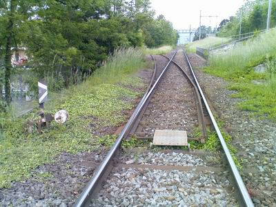 0813-02.jpg