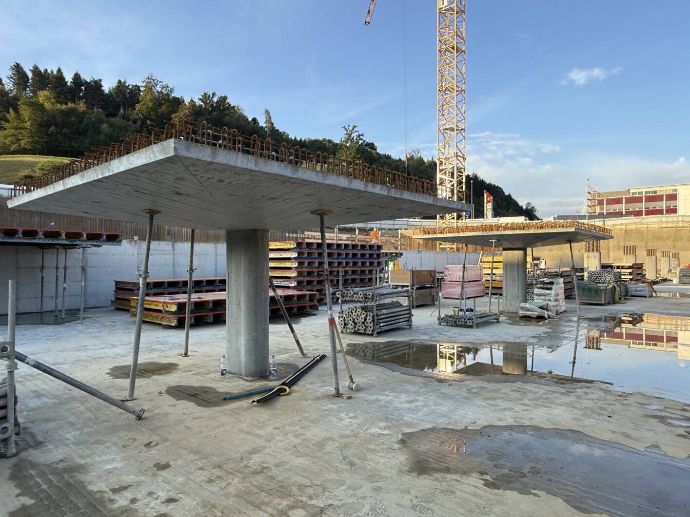 26-08-28_Pilzkopf.jpg